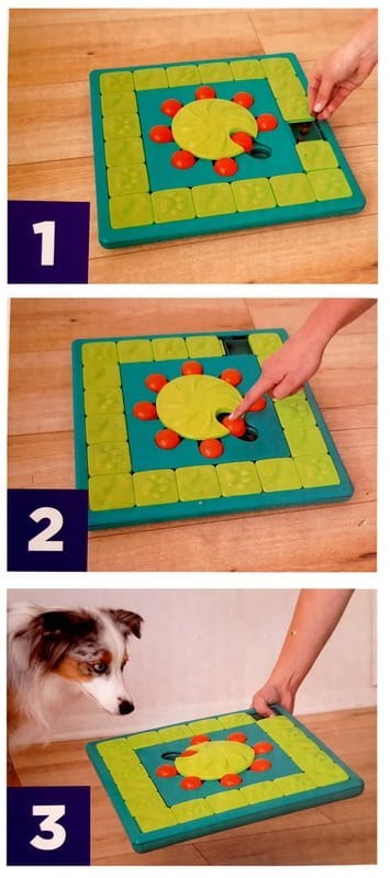 Interaktywna gra logiczna dla psa, poziom4, Dog MultiPuzzle, Nina Ottosson Interaktywna gra logiczna dla psa, poziom4, Dog MultiPuzzle, Nina Ottosson