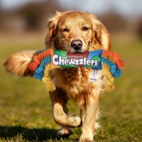 Zabawka sznurkowa dla psa, CHEWZZLERS Zabawka sznurkowa dla psa, CHEWZZLERS