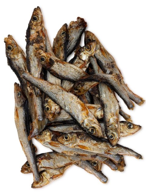 Szprotka suszona, przysmak dla psa 40g. UNISZKI Szprotka suszona, przysmak dla psa 40g. UNISZKI