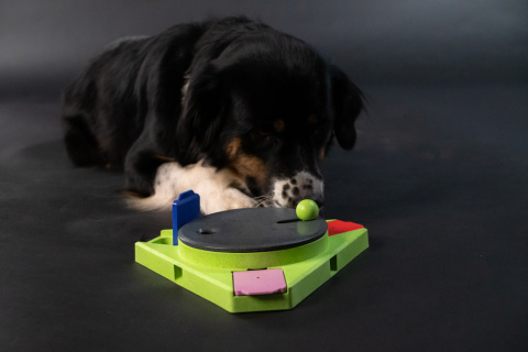 Interaktywna gra logiczna dla psa, Puzzle Triangle, Holland Animal Care Interaktywna gra logiczna dla psa, Puzzle Triangle, Holland Animal Care