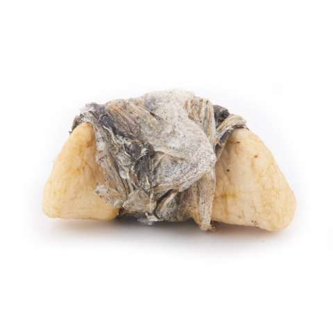 Naturalne przysmaki dla psa, jabłko i ryba 100g. Fish4Dogs Naturalne przysmaki dla psa, jabłko i ryba 100g. Fish4Dogs