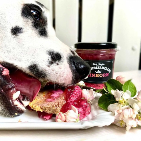Stevi & Schnück‘s Hundemarmelade Einhorn DŻEM DOBRY JEDNOROŻEC 275g Stevi & Schnück‘s Hundemarmelade Einhorn DŻEM DOBRY JEDNOROŻEC 275g